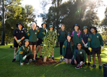 Image of children tree planting at Coolbinia Reserve